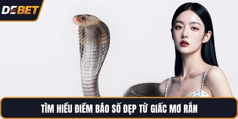 Tìm hiểu điềm báo số đẹp từ giấc mơ rắn