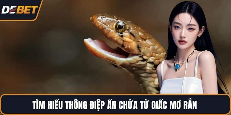 Tìm hiểu thông điệp ẩn chứa từ giấc mơ rắn 